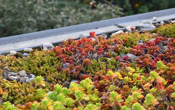 the cost of Thorpe Wood green roof installation