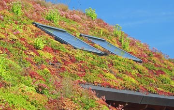 Thorpe Wood living roof systems