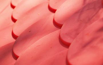 Thorpe Wood plastic roof costs