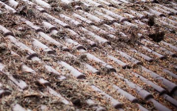 Thorpe Wood roof cleaning companies