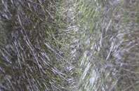 Thorpe Wood fibreglass roof work